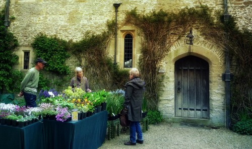 Plant Fair Jigsaw Puzzle