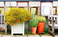 Planter and Pots