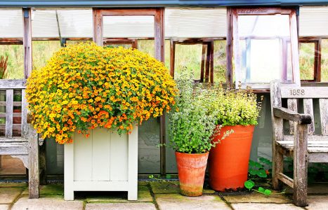 Planter and Pots Jigsaw Puzzle