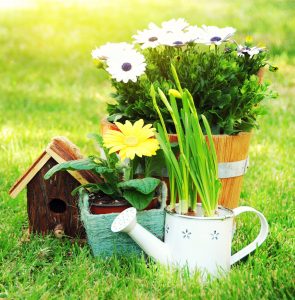 Planting Time Jigsaw Puzzle