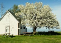 Pointe aux Barques