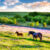 Ponies and Bluebells Jigsaw Puzzle