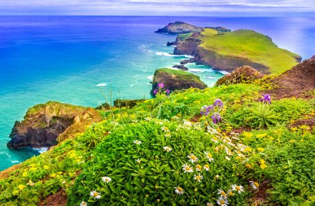 Ponta de Sao Lourenco Jigsaw Puzzle