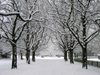 Poole Park Snow