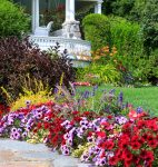 Porch and Flowers