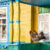 Porch Poultry Jigsaw Puzzle