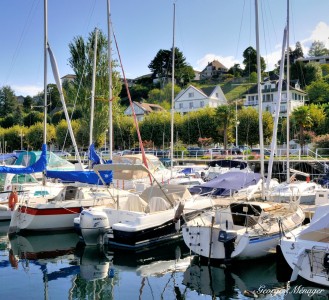 Port de Rives Jigsaw Puzzle