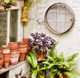 Potting Corner Jigsaw Puzzle