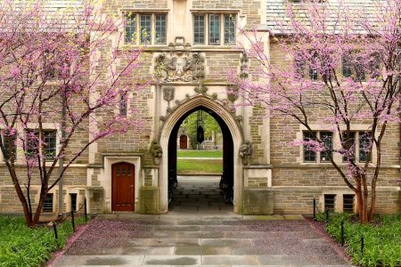 Princeton Campus Jigsaw Puzzle