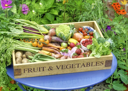 Produce Box Jigsaw Puzzle