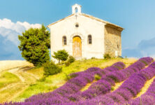 Provence Lavender Field Jigsaw Puzzle