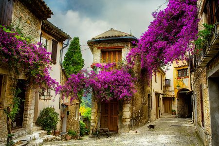 Provence Streets Jigsaw Puzzle