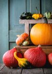 Pumpkin Arrangement
