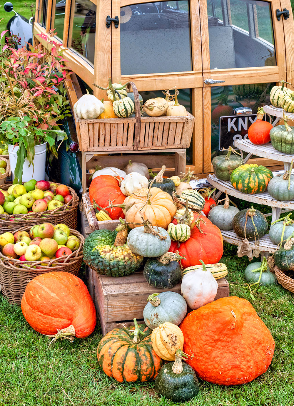 Pumpkin Display Jigsaw Puzzle Pumpkin Display Jigsaw Puzzle