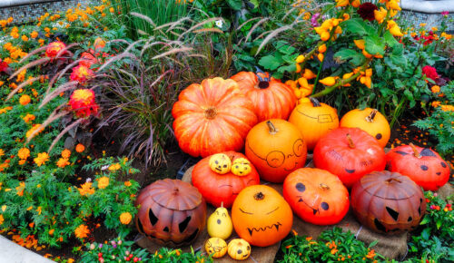 Pumpkin Faces Jigsaw Puzzle