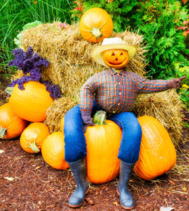 Pumpkin Greeter Jigsaw Puzzle