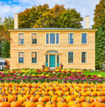 Pumpkin Harvest