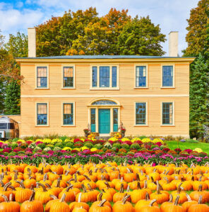 Pumpkin Harvest Jigsaw Puzzle Pumpkin Harvest Jigsaw Puzzle