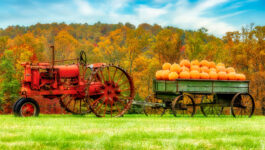 Pumpkin Hauling