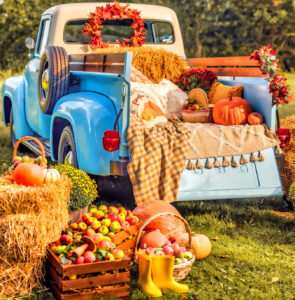 Pumpkin Pickup Jigsaw Puzzle
