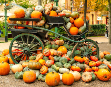 Pumpkin Pile Jigsaw Puzzle