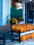 Pumpkin Sale