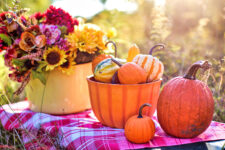 Pumpkin Table