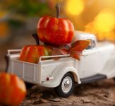 Pumpkin Truck