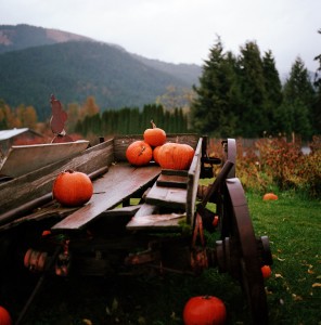 Pumpkin Wagon Jigsaw Puzzle