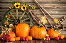 Pumpkins and Wheel