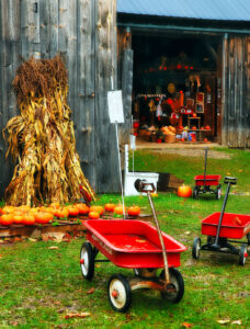 Pumpkins on Sale Jigsaw Puzzle