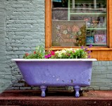 Purple Tub