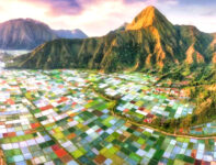 Quilt of Fields