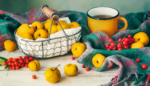 Quince Basket Jigsaw Puzzle