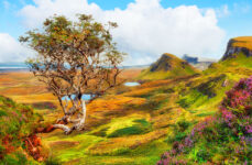 Quiraing View