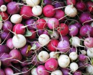 Radishes