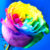 Rainbow Rose Jigsaw Puzzle