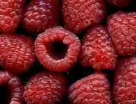 Raspberries