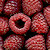 Raspberries Jigsaw Puzzle