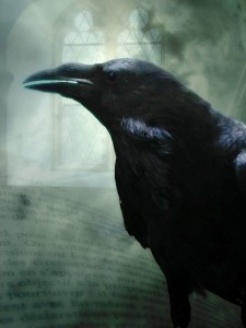 Raven Jigsaw Puzzle