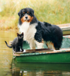 Ready for Boating Jigsaw Puzzle