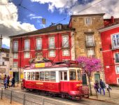 Red and White Tram