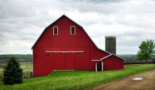 Red Barn Jigsaw Puzzle