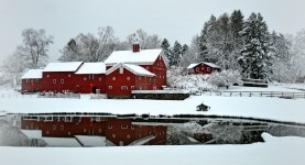 Red Barn in Snow