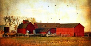 Red Barns