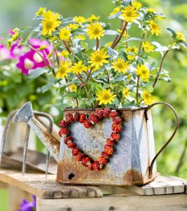 Red Berry Heart Jigsaw Puzzle