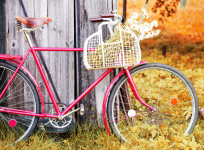 Red Bike Jigsaw Puzzle