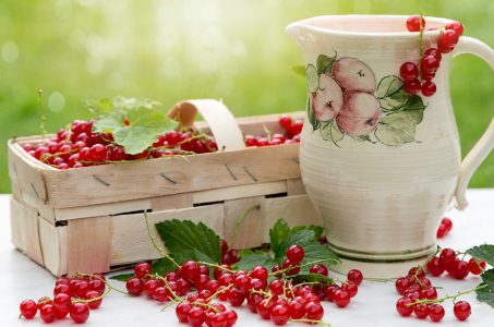 Red Currants Jigsaw Puzzle