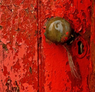 Red Door Jigsaw Puzzle