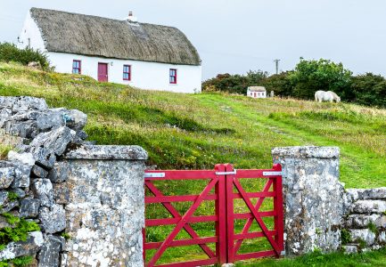 Red Gate and Cottage Jigsaw Puzzle